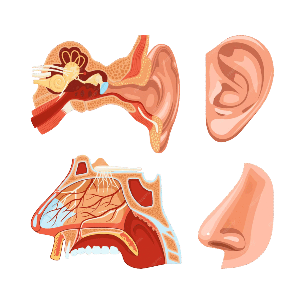 Foreign Body Removal Doctor in Rahatani