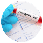 Parathyroid Function Tests