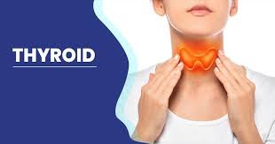 All You Need to Know About Thyroid Disease